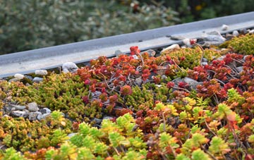 the cost of Grinton green roof installation